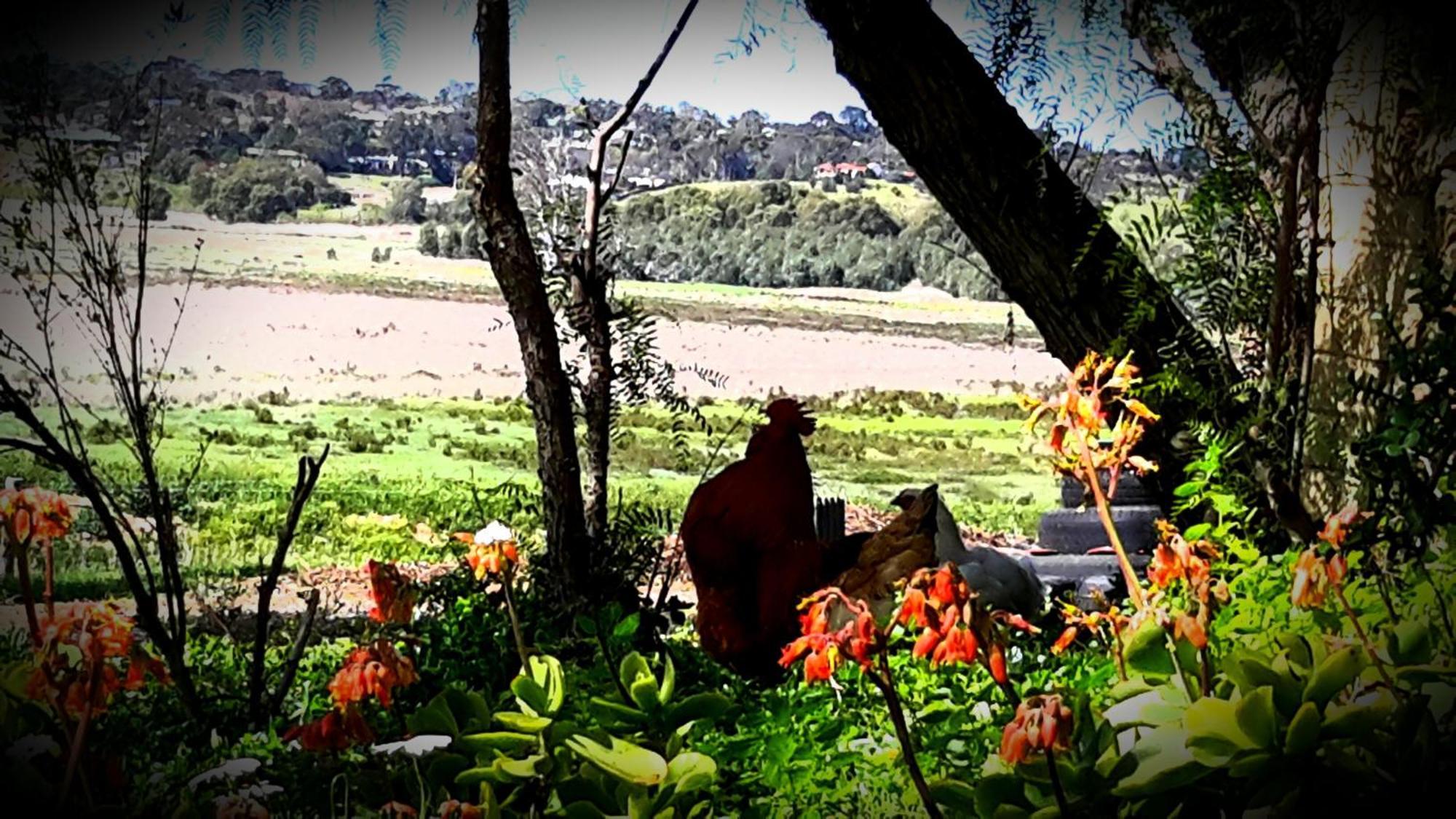 Bed and Breakfast A La Folly Too The Old Workshop Murray Bridge Exteriér fotografie